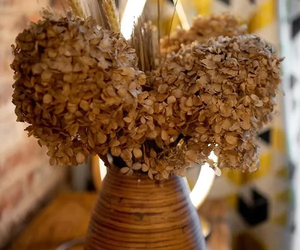 Brick House - Zośka Wrocław